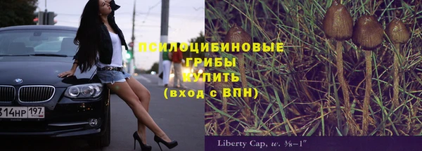 спиды Абдулино